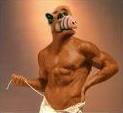 Horny Alf's Avatar